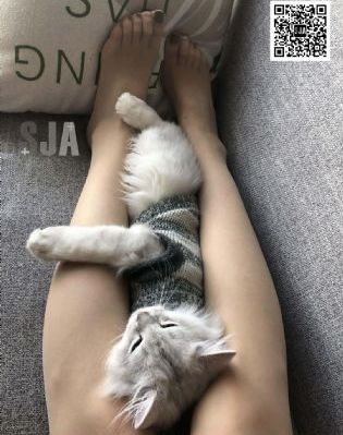 草草影院最新_BD韩语免费高清观看