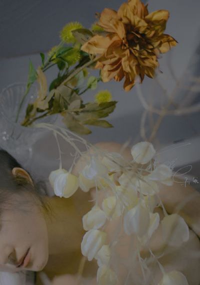 电视剧新生在线观看免费_720完整版观看